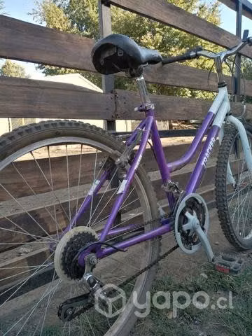 Bicicleta tracker