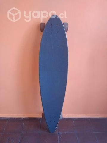 Long Board Excelente estado