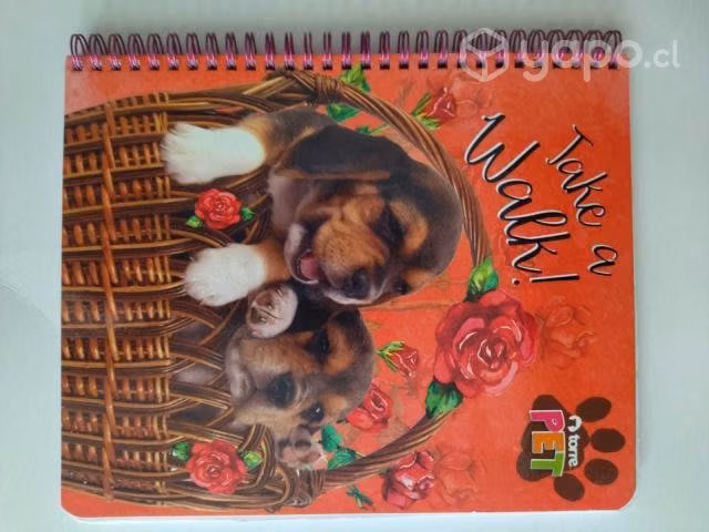 Cuadernos universitarios tiernos