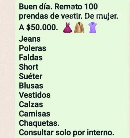 LOTE 100 PRENDAS MUJER