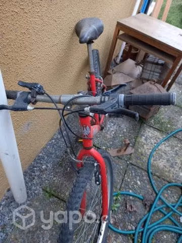 Bicicleta bianchi - Imagen 5