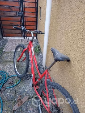 Bicicleta bianchi