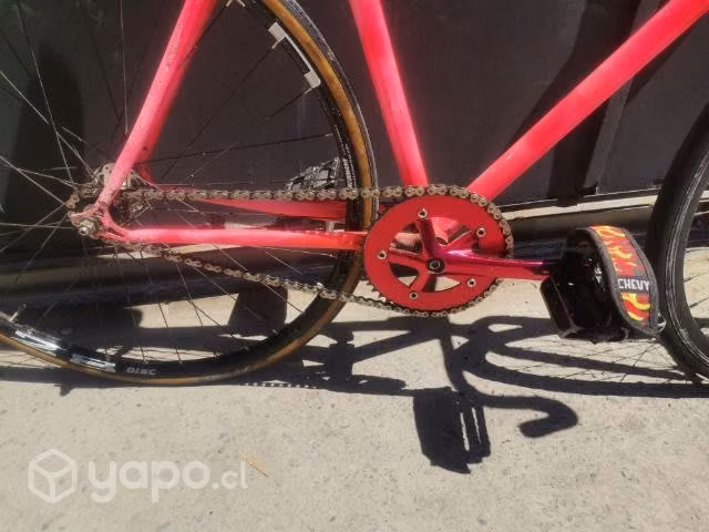Bicicleta Fixie Piñon fijo aluminio