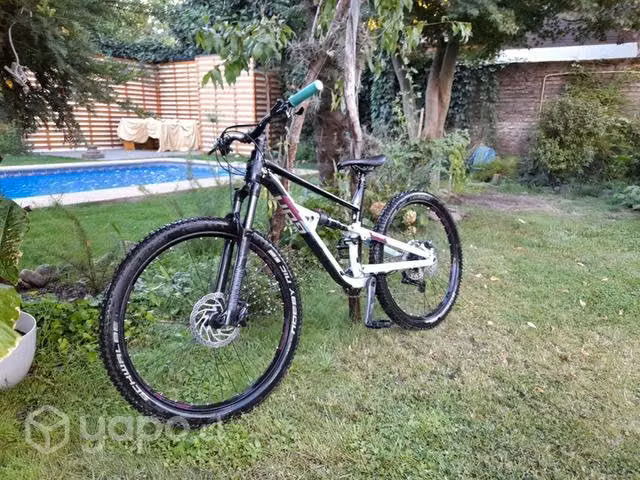 Polygon d7 2021