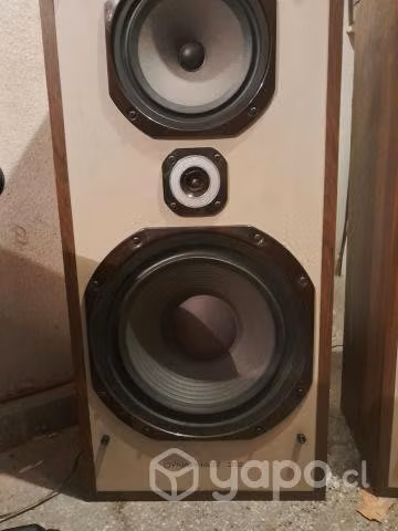 Parlantes dynaphase 312