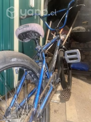 BMX GT Performer 2021