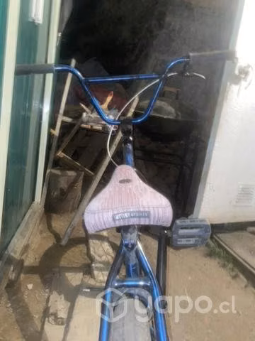 BMX GT Performer 2021