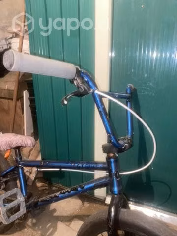 BMX GT Performer 2021