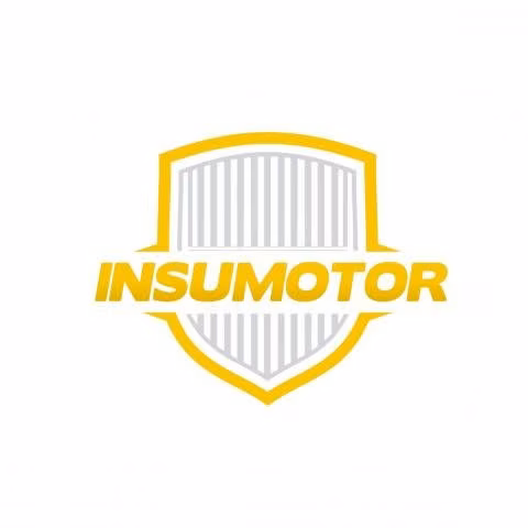 Aceite Para Motor Ravenol Sintético Hls Sae 5w-30