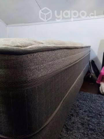 Cama cannon euro calm