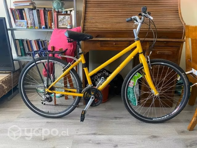 Bicicleta paseo aro 28