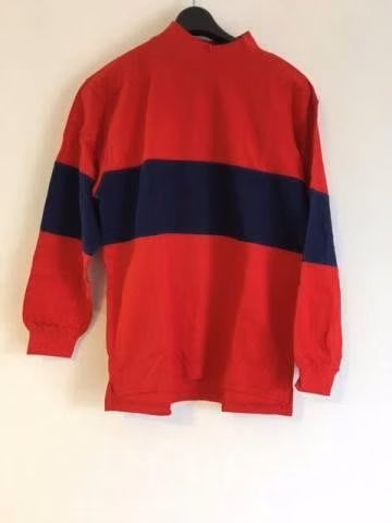 Polera tipo Polerón niño talla 12 nuevo