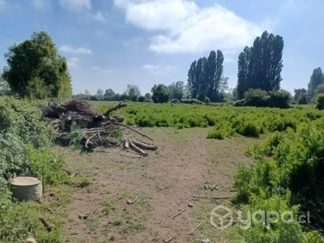 Excelente terreno agrícola 2,1 H en Ñiquén