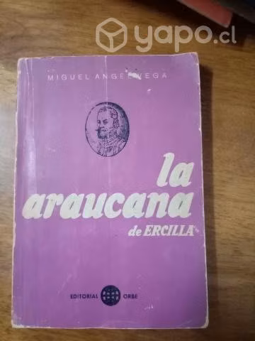 La Araucana de Ercilla (Ensayo)