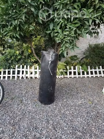 Punch Boxing