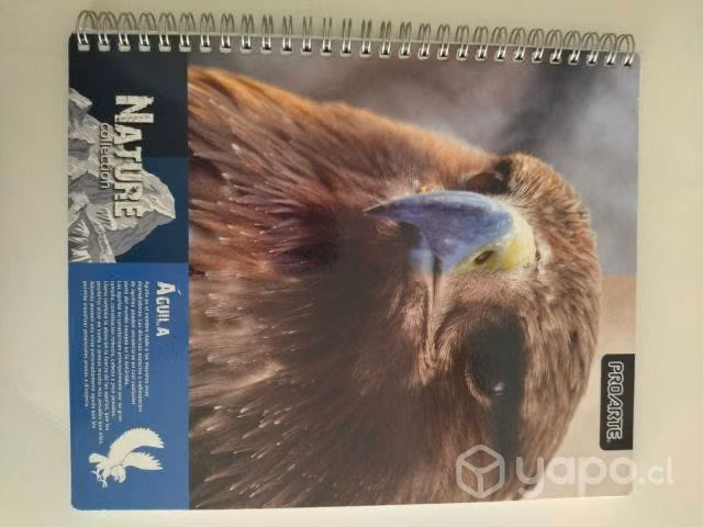 Cuadernos animales proarte