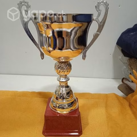 Juego de COPAS trofeos - Imagen 5