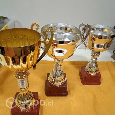 Juego de COPAS trofeos - Imagen 3