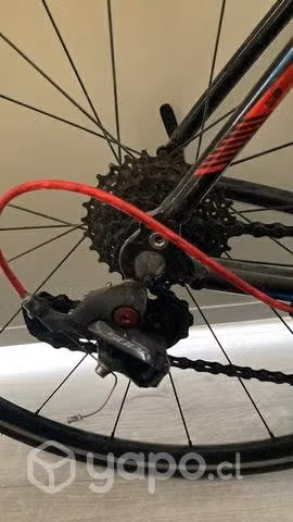 Bicicleta pistera