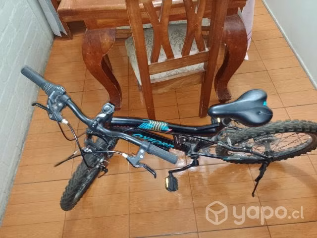 Bicicleta