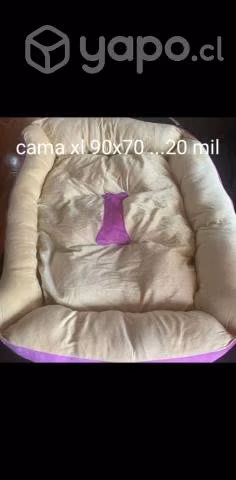 Camas de perro