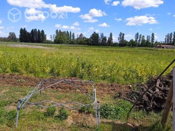 Hermoso terreno 1ha con agua y luz, Reg. del Maule