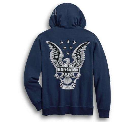 Polerones Harley Davidson azul - Imagen 2