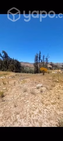 Recibo tierra para relleno ,en asiento viejo
