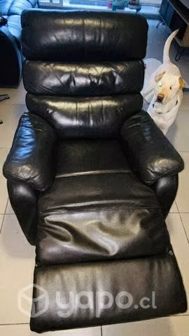 Bergere de Cuero Rosen