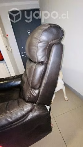 Bergere de Cuero Rosen