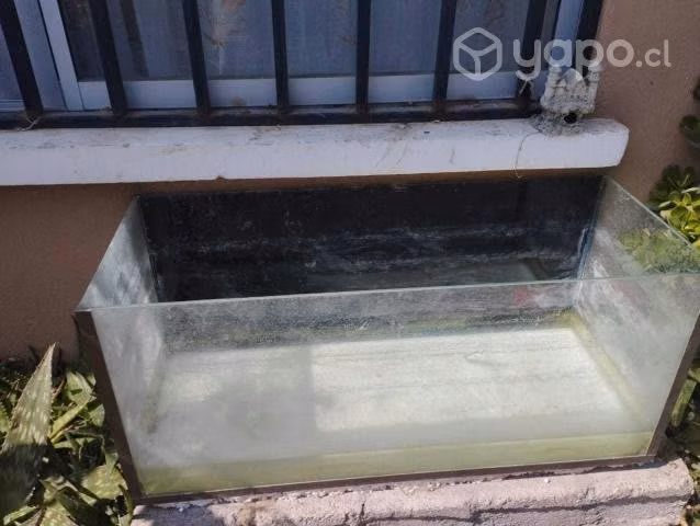 Pecera 100 L+Pez - Imagen 2