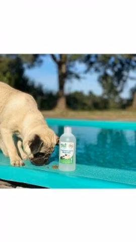 Shampoo De Mascotas Mongreen