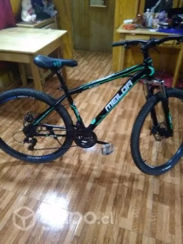 Bicicleta