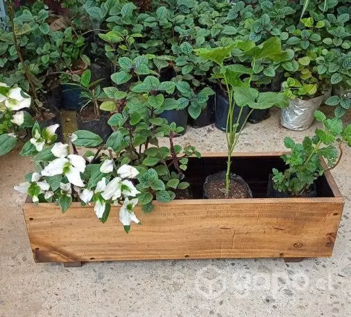 Jardineras de Madera