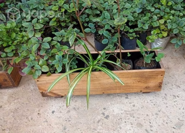 Jardineras de Madera