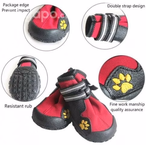 Zapatos deportivos para perros