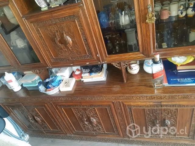 Vitrina dos cuerpos.