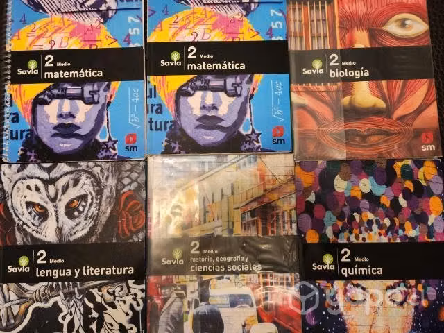 Libros 2Medio
