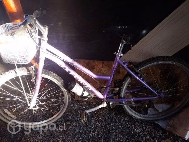 Bicicleta Oxford y opaltech