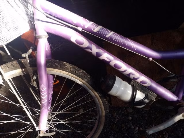 Bicicleta Oxford y opaltech
