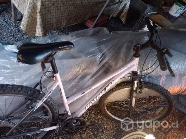 Bicicleta Oxford y opaltech