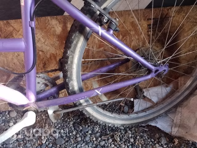 Bicicleta Oxford y opaltech