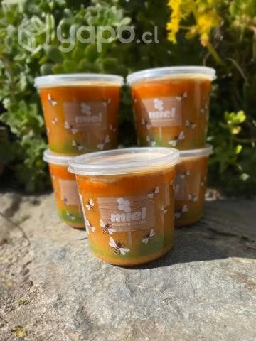 Miel Artesanal 1 Kg