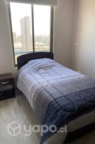 Cama Celta Europea 1.5 plazas + velador + plumón - Imagen 2