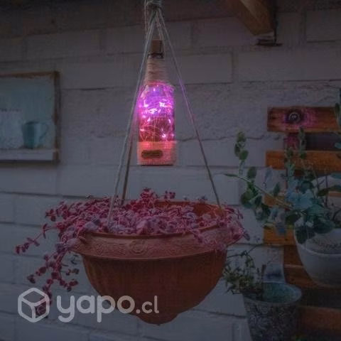 Botellas Decorativas con luces.