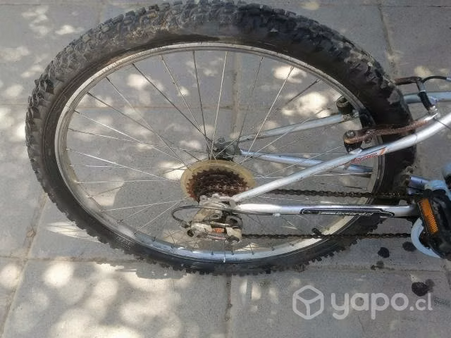 Bicicleta oxford