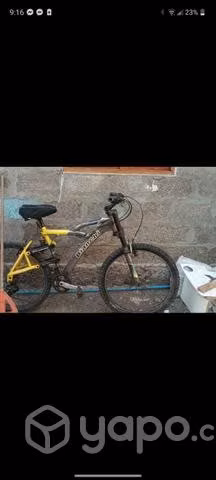 Bianchi doble suspension