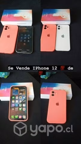 IPhone 12 blanco