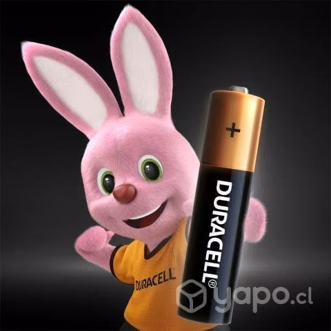 Duracell Pilas Alcalinas AAA x 2