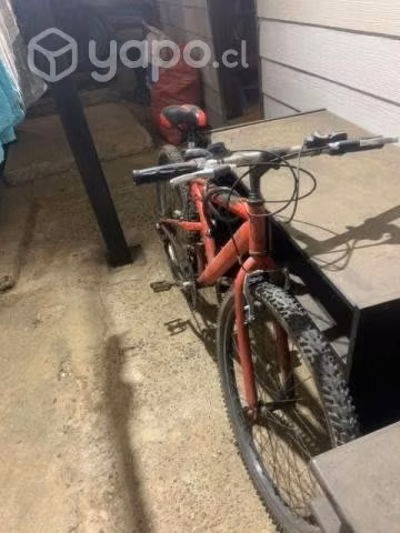 Bicicleta